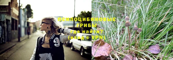 марки nbome Вяземский