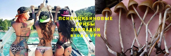 тгк Вязьма