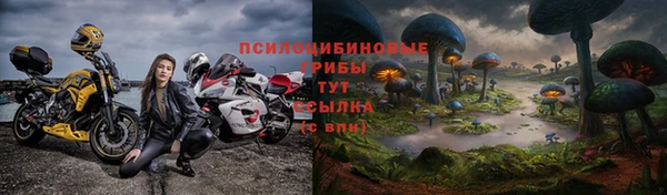 тгк Вязьма